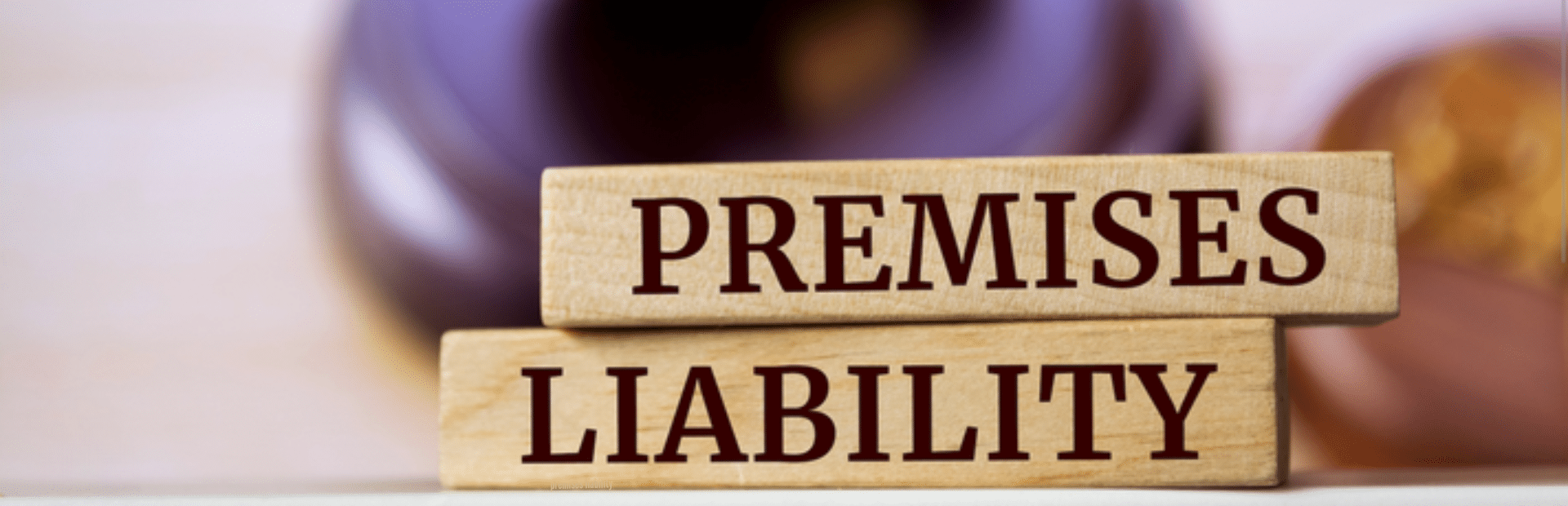 Premises Liabilty